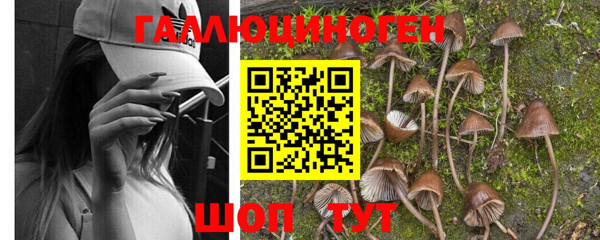 Галлюциногенные грибы Magic Shrooms Чехов