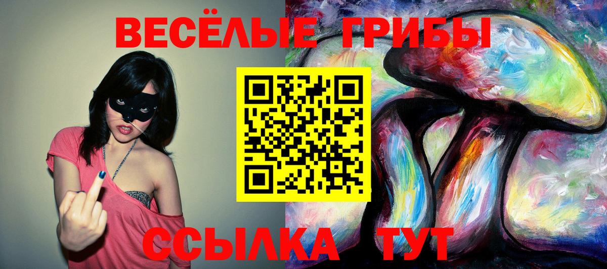Псилоцибиновые грибы прущие грибы  Псилоцибиновые грибы Psilocybe  Вход с VPN  Чехов 